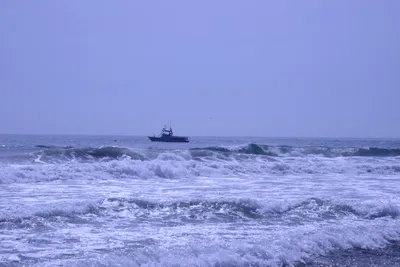 DSC_2116 (Large).JPG